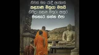 බල්ලෙක් රිලවෙක් වෙන්න අකමැති අයටයි