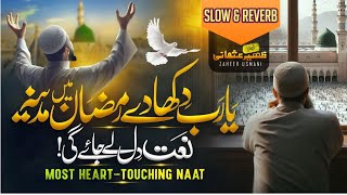 New Beautiful Naat Sharif 2024 | Ya Rab Dikha De | Ramzan Men Madina | Zaheer Usmani