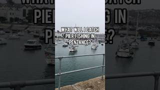 What will I catch Pier Fishing in Penzance Cornwall? #catchandrelease #fishing #pierfishing