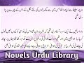 cousin marriage rude hero most romantic complete novel havali base novels urdu library