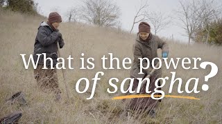 The Power of Sangha | A Short Film with the Words of Thich Nhat Hanh