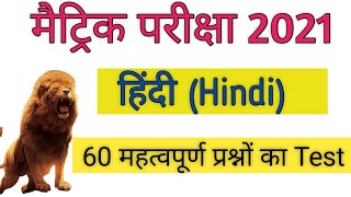 हिंदी के 60 अति महत्वपूर्ण प्रश्न शेर -शेरनियों जल्दी आओ✍️