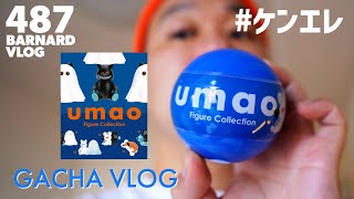 今週のガチャガチャ Vlog / umao Figure Collection ケンエレ【Episode_487】