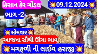 નવી મગફળીના બજાર ભાવ | મગફળીના આજના બજાર ભાવ | ગોંડલ મગફળીના ભાવ | Gondal marketing yard 09.12.2024