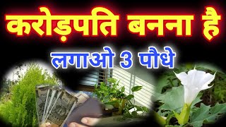 मैं दावे के साथ कह सकता हूं ये 3 पौधे लगाने से धन की वर्षा होती है plant benefits Hindi | tree plant