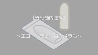 脊髄腫瘍 ダイアリー#3【病名が分かるまで～その3】何が原因なの？(T_T)エコー、座薬、胃カメラも。