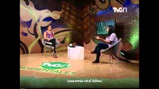 TVCn Ambientales - 29 mayo 2013