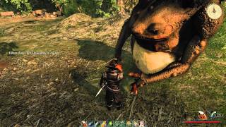 Risen 2 (PC) — VS Granne Gozzo (voodoo doll, 2 hits)
