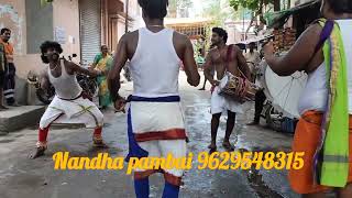 Nandha pambai