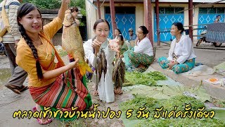 ฉานในสายฝน EP.37 ตลาดเช้าของป่าของบ้าน ๆ ชนบทบ้านน้ำปอง 5 วันมี 1 ครั้ง