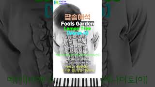 이룸영어 | 팝송 해석 | Fools Garden - Lemon Tree [Verse 4]