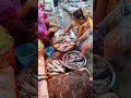 traditional market kampot provinceផ្សារកំពត cambodia blogger traditionalmarket kampot cambodia