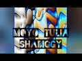 shabiggy moyo tulia official music audio