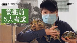 養龜前考慮｜水龜陸龜分清楚🐢飼養寵物的準備和覺悟💁🏼‍♂️ 5個須知事項⚠️可愛的巴西龜🐢、斑龜🐢🐢Turtle