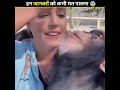 इन जानवरों को पालने की गलती मत करना these animals can never be come pets shorts ytshorts