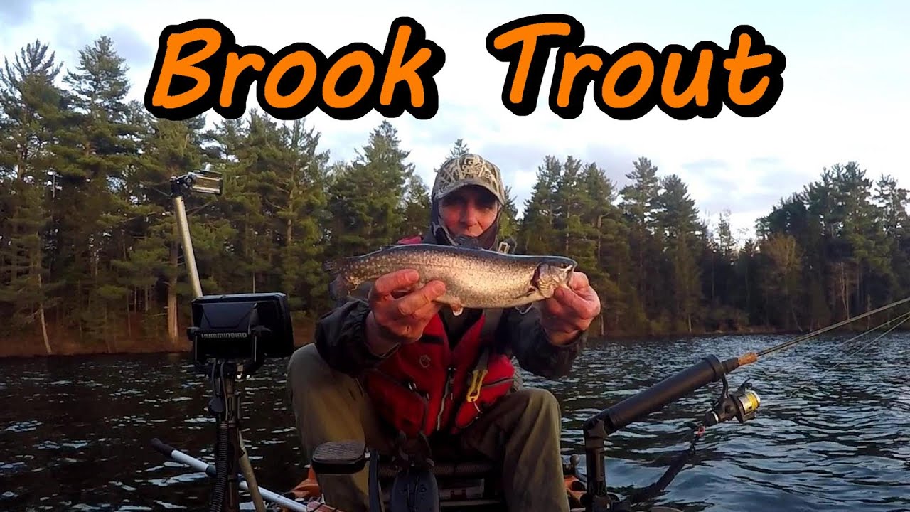 Brook Trout Kayak Fishing New Brunswick Canada 2022! - YouTube