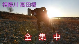 【神奈川県】 相模川 高田橋河川敷でキャンプする人は必見【河川敷紹介】