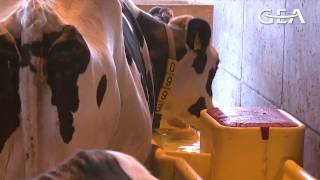 GEA Dairy Farming - GEA Watermaster thermal drinkers