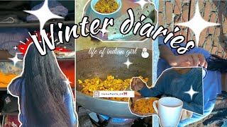 VLOG27 ||A day in my life☃️Life of indian girl❤️Winter diaries🌨️aesthetic vlog indian🌿last vlog2024