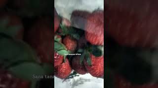 Aaira Zimal ko mili🍓🍓strawbarry Sana tanazzum Official