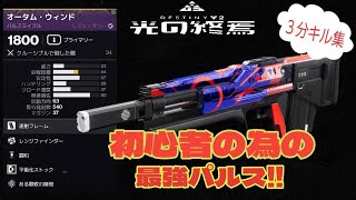 【DISTINY2/光の終焉】初心者の為の最強パルス!!