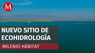 Lago de Texcoco, primer Sitio de Ecohidrología designado por la Unesco en México | Milenio Habitat