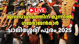 ജനസാഗരത്തിന് മുന്നില്‍ ഗജരാജന്‍മാര്‍ | ചാലിശ്ശേരി പൂരം | CHALISSERY POORAM 2025 | CHALISSERY POORAM