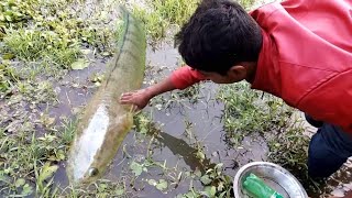 Amazing Boy | Catch Fish With Plastic Bottle Fish Trap ! Fish Trap in Cambodia Method | Episode - 03