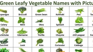 Leafy vegetables name/vegetables name/Green vegetables name in English with pictures/kids learning/