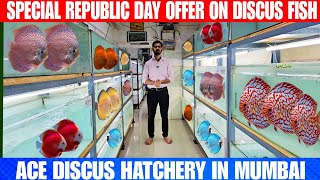 Republic Day Special Discount On Discus Fish  | At Ace Discus Hatchery Mumbai