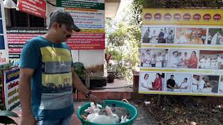 Dr.Migdad Ashiyana Rabbit farm # 150 (खारगोश पालान  12 )