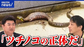 【ツチノコ】幻の未確認生物は存在する？捜索イベントは町おこし？ひろゆき＆月刊ムー編集長と考える｜アベプラ