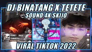 DJ BINATANG SEMUA X TETETE SOUND 4K SKIJO VIRAL TIKTOK 2022 YANG KALIAN CARII