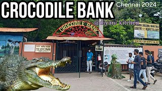 A VISIT TO CROCODILE BANK || CHENNAI 2024 || MADRAS CROCODILE PARK || DIYANI KITCHEN AND VLOGS ||