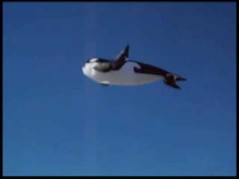 Killerwhale Youtube