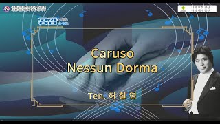 2024 경북공감(共感)음악회_테너 허철영 Caruso , Nessun Dorma