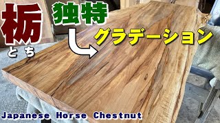 【独特なグラデーション】トチ一枚板×オイル仕上げ【木の店さんもく】How To Apply Oil Stain Finish To  Japanese Horse Chestnut