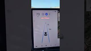 Tesla Autopilot: ON 😂 #autopilot