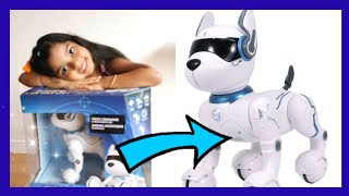 MEGALYN PLAYS WITH ZIGGY THE ROBOT DOG