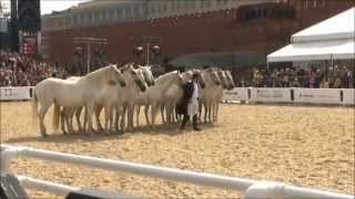 Лоренцо.Lorenzo Emotion horse show in Moscow.Летающий всадник