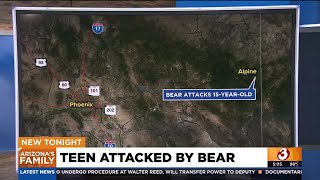 Teen attacked by bear in eastern Arizona