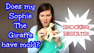 WILL MY SOPHIE THE GIRAFFE HAVE MOLD!?! Shocking results!