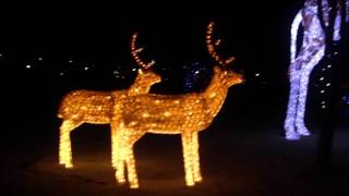 いせさきイルミネーション 2016 夜景 波志江沼環境ふれあい公園