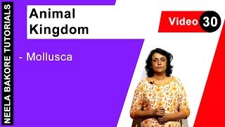 Animal Kingdom | NEET | Mollusca | Neela Bakore Tutorials