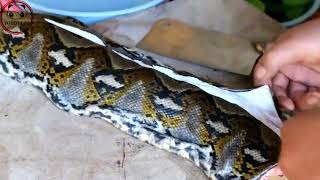 চাইনিজরা কিভাবে সাপ খায়। Chinese eating snake। যত রকম আজব খাবার।