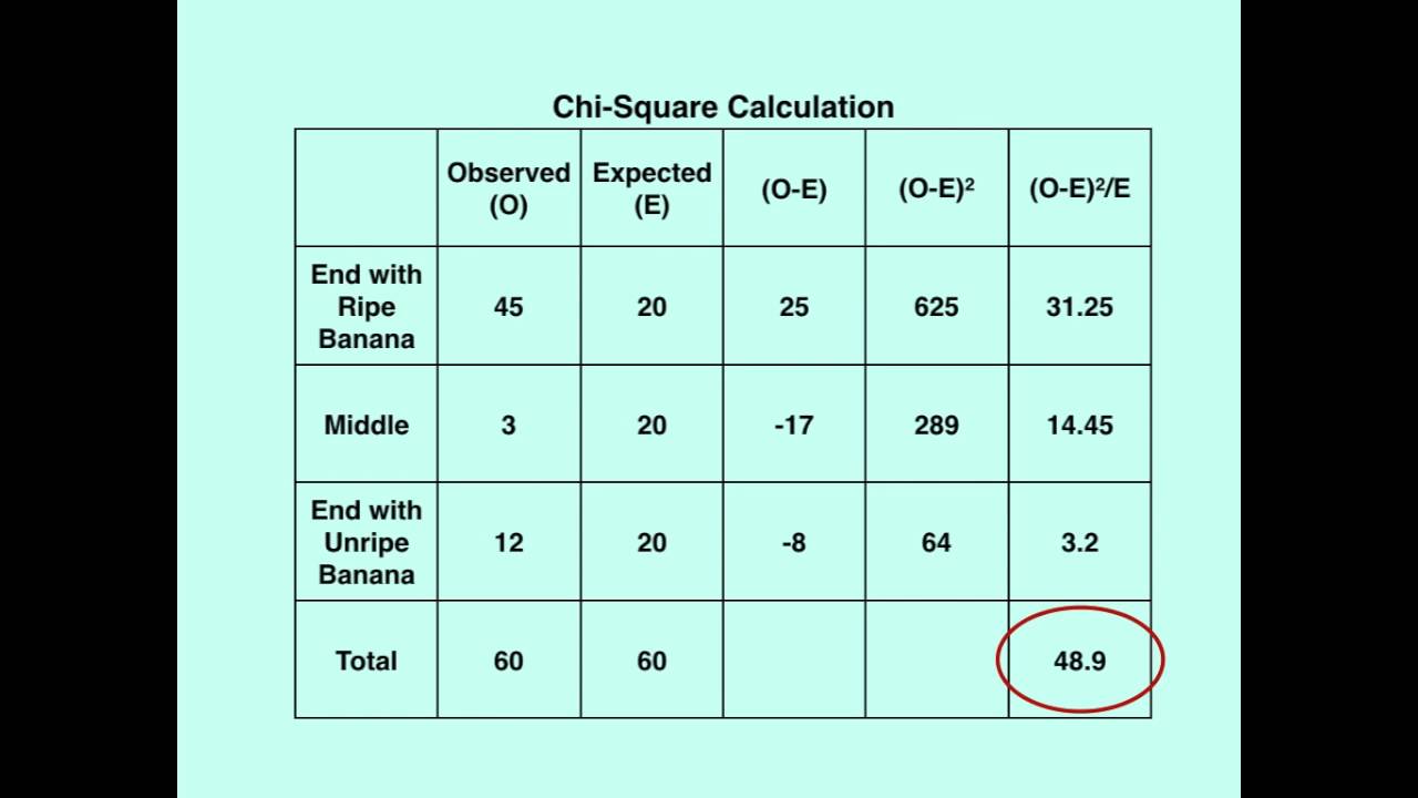 One Minute Biology: Chi-Square - YouTube