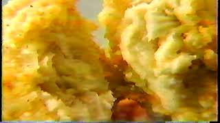 Wendy's Crispy Nuggets Celebration Commercial 1986