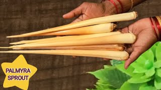 Panam Kilangu Recipe ❤️ Palmyra Sprout 🤩 Natural Snacks Recipe | Indian Snacks