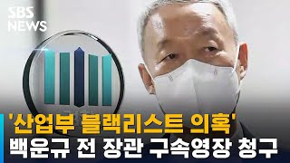 '산업부 블랙리스트 의혹' 백운규 전 장관 구속영장 청구 / SBS