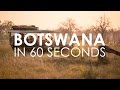 Botswana in 60 seconds | Rhino Africa